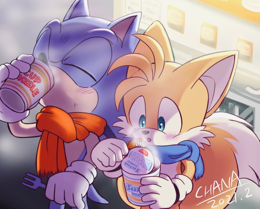 sonic the hedgehog and tails (sonic) drawn by chana_(furrytails)
