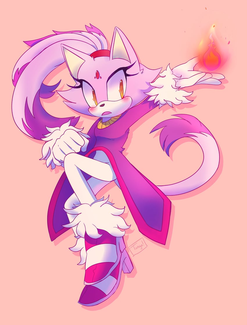 blaze the cat (sonic) drawn by ame_(beeames)