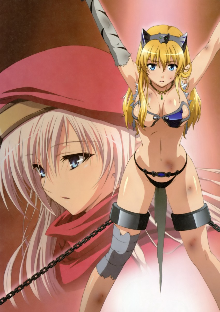 alleyne, fighting master alleyne, elina, and captain of the royal guard elina (queen's blade)
