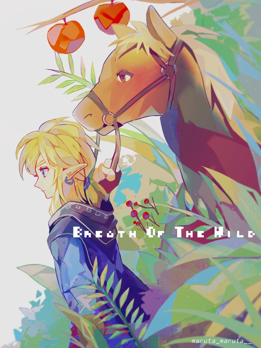 link (the legend of zelda and 1 more) drawn by maruta_maruta