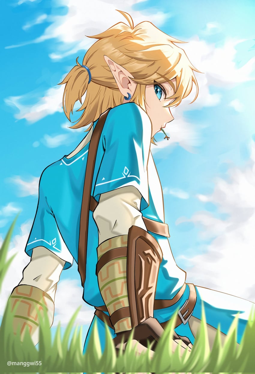 link (the legend of zelda and 1 more) drawn by manggwi55