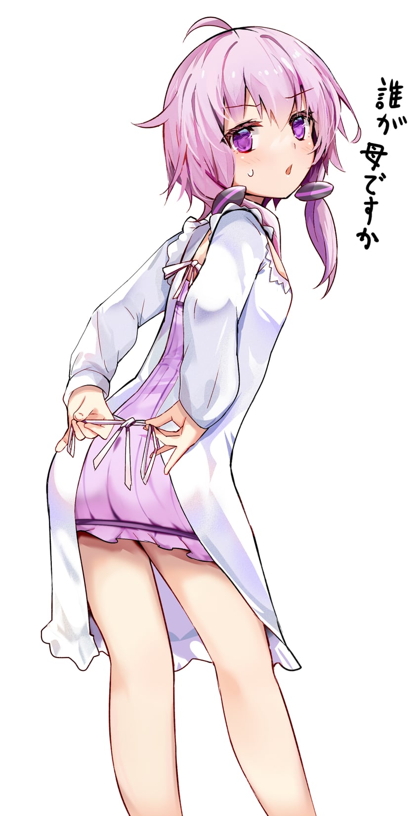 yuzuki yukari (vocaloid and 1 more) drawn by efe