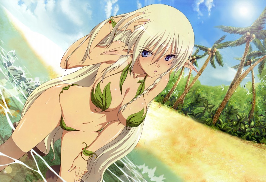 alleyne and fighting master alleyne (megami magazine and 1 more) drawn by miyazawa_tsutomu