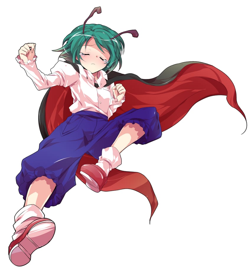 wriggle nightbug (touhou and 1 more) drawn by dairi