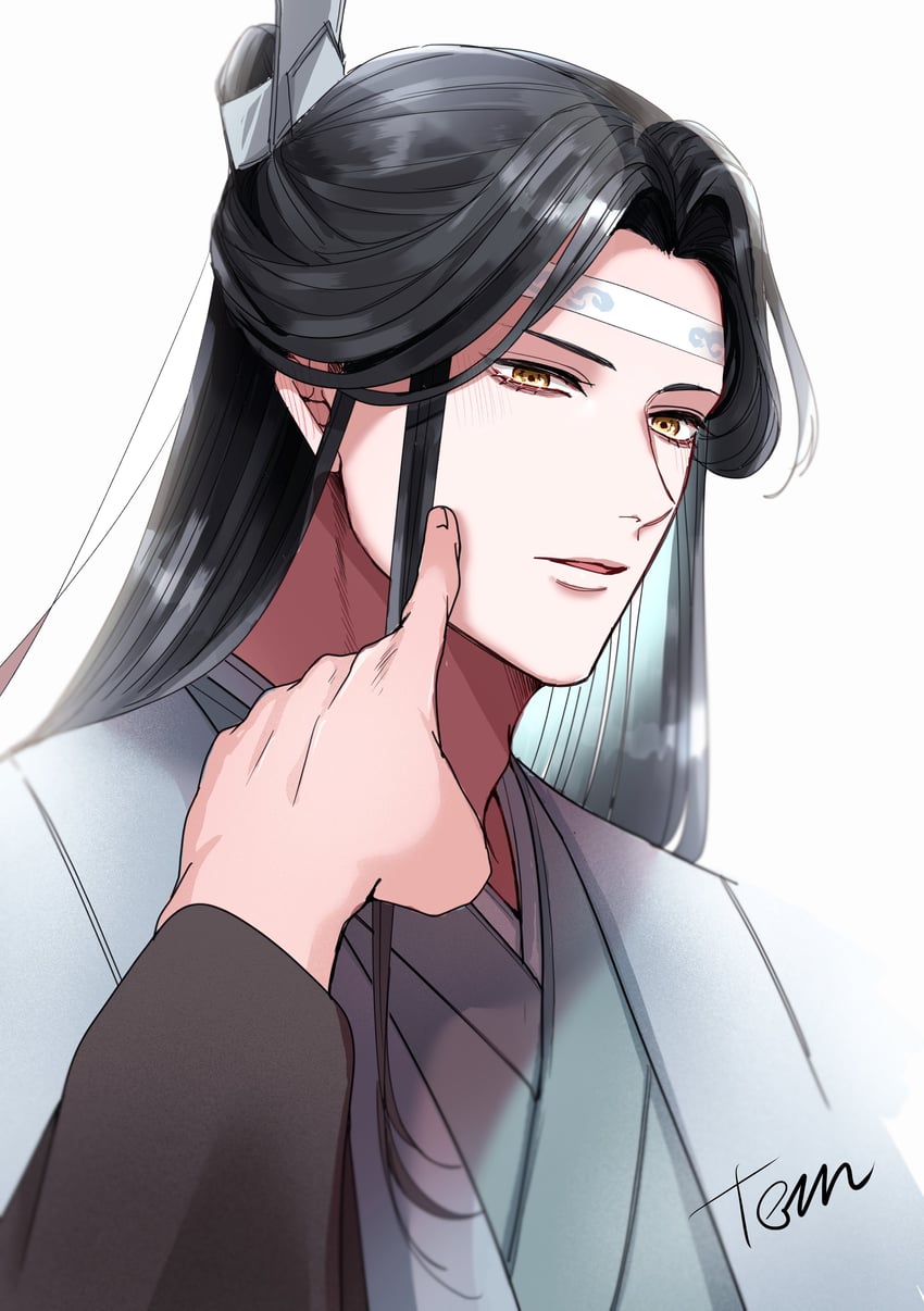 wei wuxian and lan wangji (modao zushi) drawn by tem0822_bl