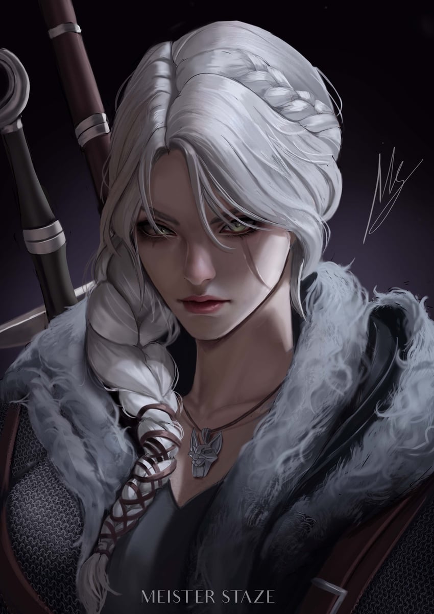 ciri (the witcher and 1 more) drawn by meister_staze