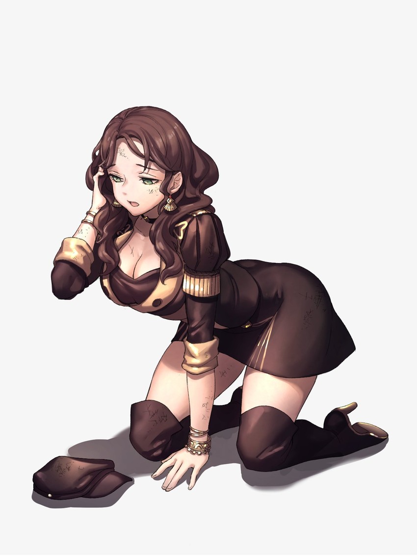 dorothea arnault (fire emblem and 1 more) drawn by moyashi_mou2