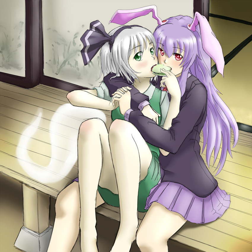 konpaku youmu and reisen udongein inaba (touhou) drawn by rabinidaddo