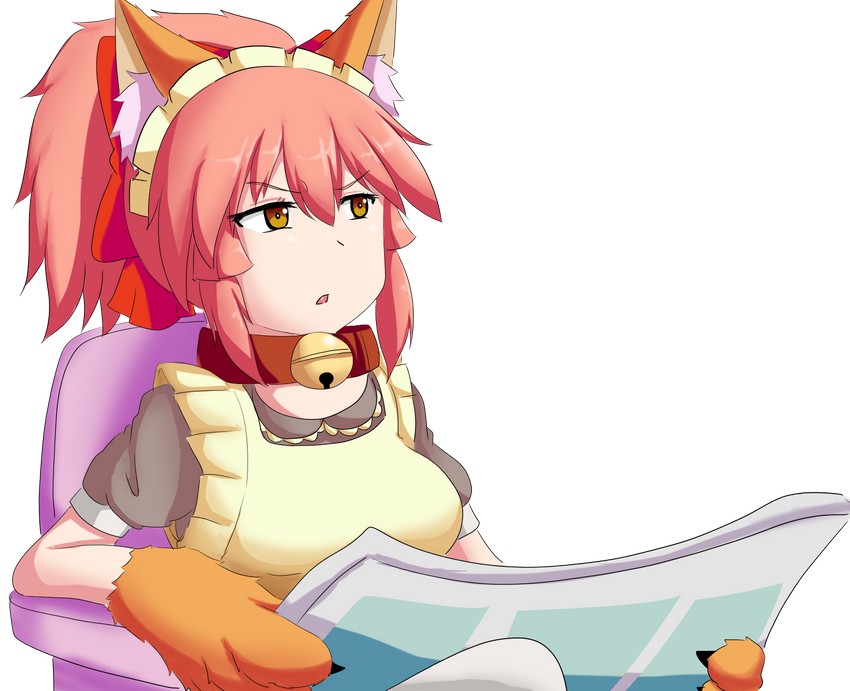 tamamo and tamamo cat (fate and 2 more) drawn by keita_naruzawa
