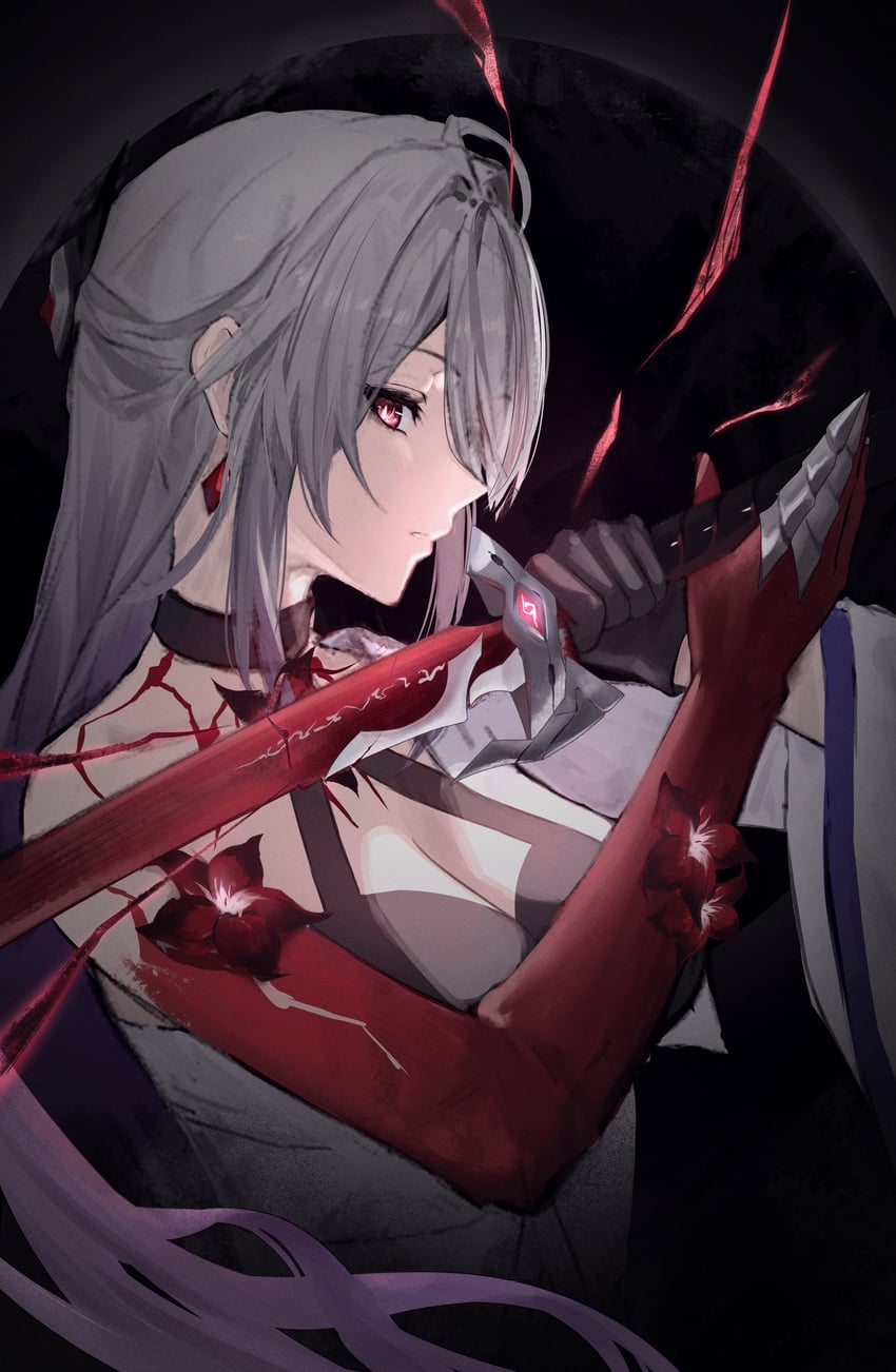 acheron (honkai and 1 more) drawn by sasa_(sasa_ekakiman)