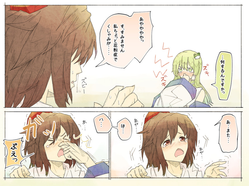 kochiya sanae and shameimaru aya (touhou) drawn by pandora-ex