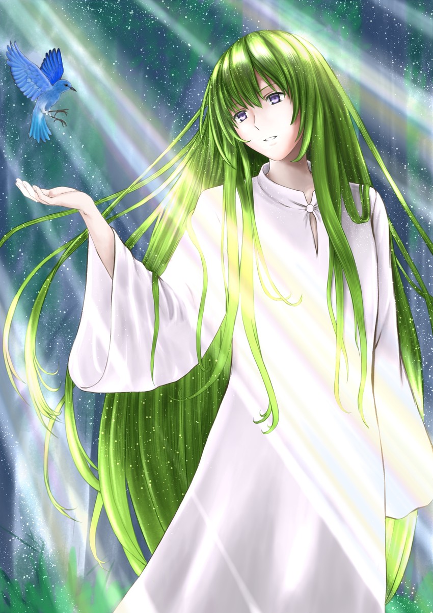 enkidu and kingu (fate and 1 more) drawn by bosutonii