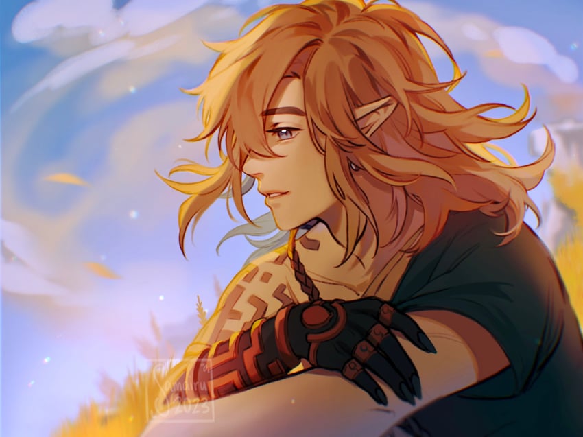 link (the legend of zelda and 1 more) drawn by samairu
