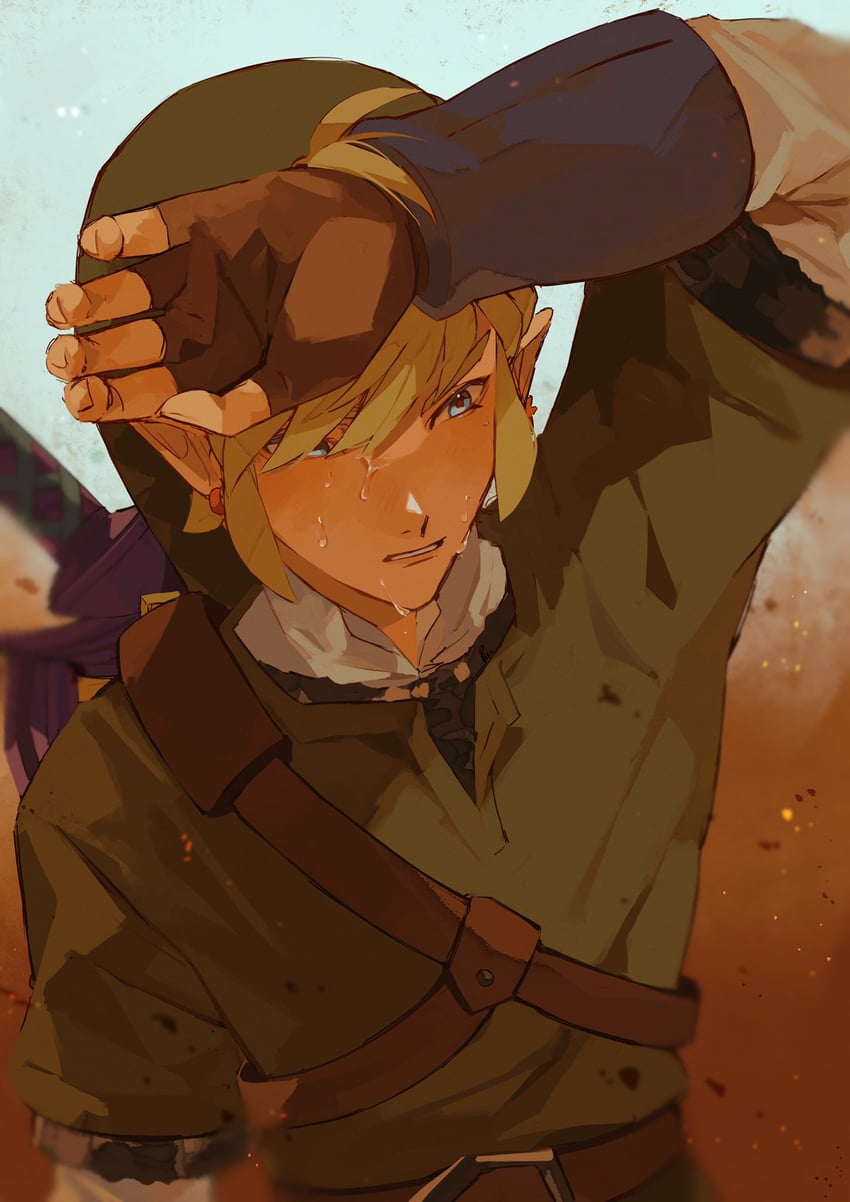 link (the legend of zelda and 1 more) drawn by pisu_1107