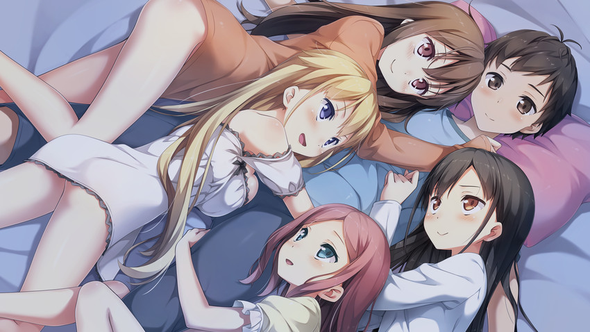 Ecchi and harem anime