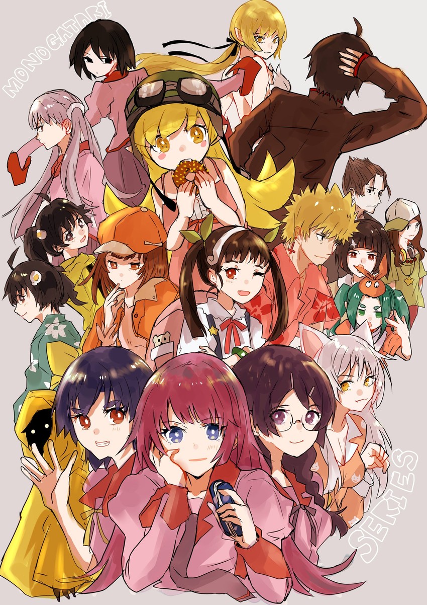 oshino shinobu, senjougahara hitagi, hanekawa tsubasa, sengoku nadeko, hachikuji mayoi, and 14 more (monogatari) drawn by valhalla0707