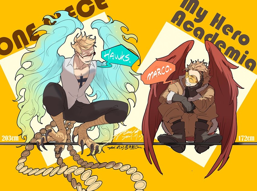 hawks and marco (one piece and 1 more) drawn by emase_(foxmoon)