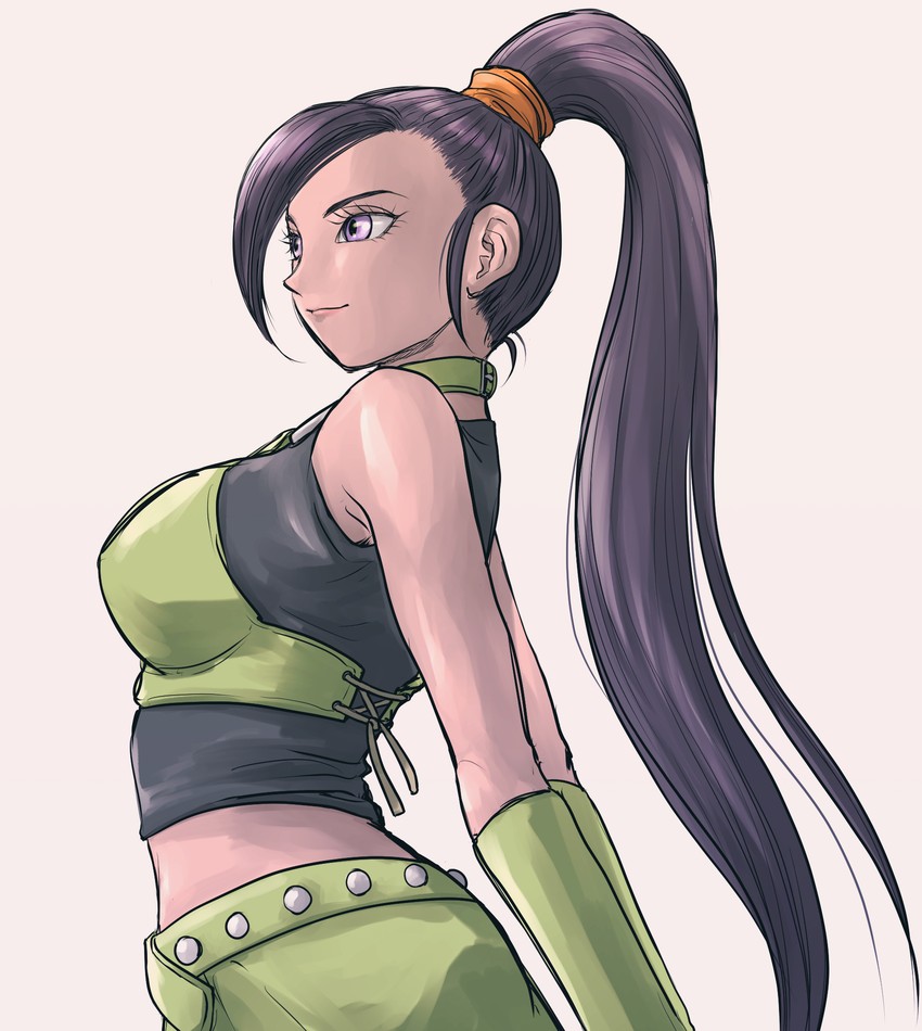martina (dragon quest and 1 more) drawn by pekuchin_(pekuchin_3)