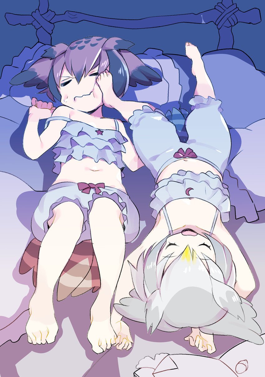 northern white-faced owl and eurasian eagle owl (kemono friends) drawn by omucchan_(omutyuan)