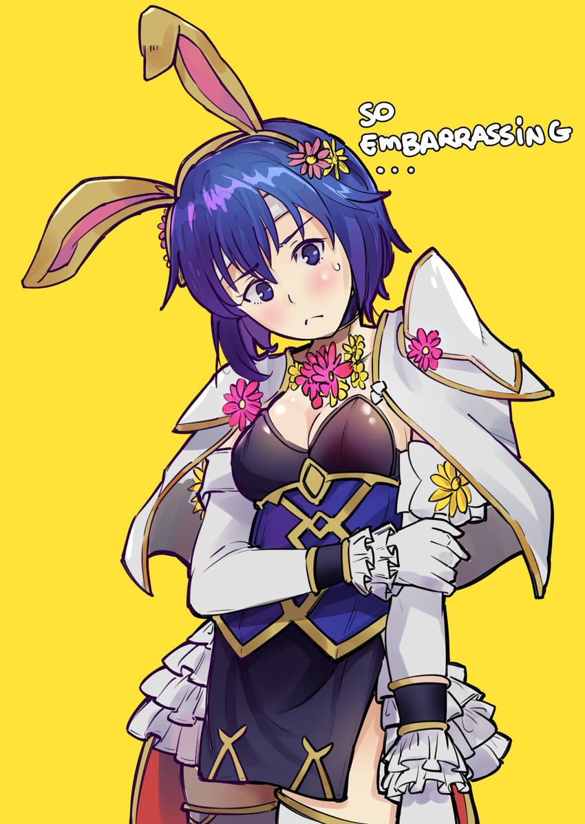 catria (fire emblem and 2 more) drawn by ebinku