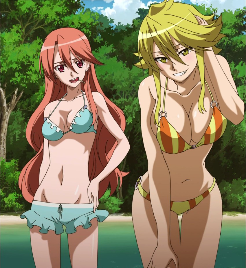 chelsea and leone (akame ga kill! and 1 more)