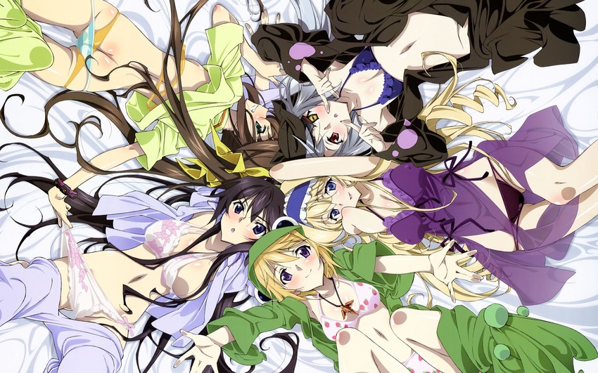 charlotte dunois, cecilia alcott, laura bodewig, shinonono houki, and huang lingyin (megami magazine and 1 more) drawn by mamezuka_takashi