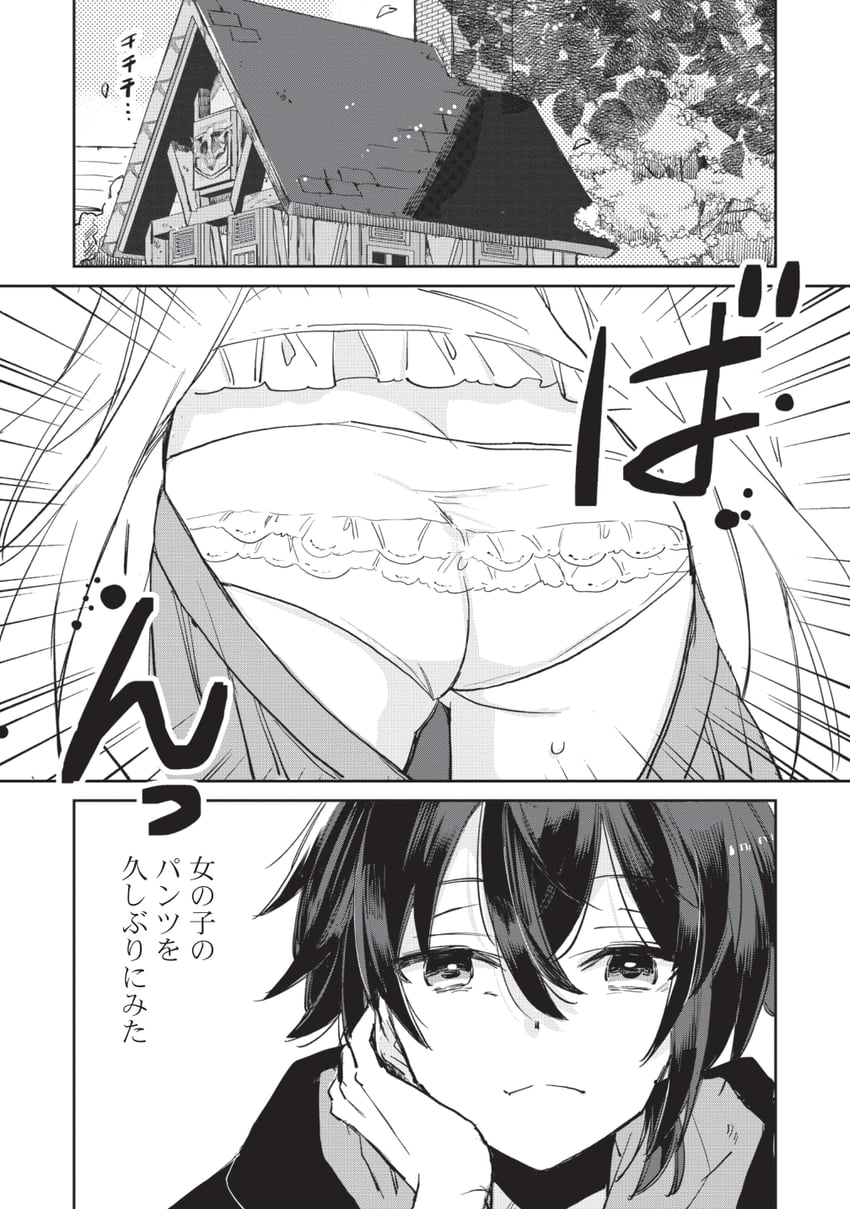 hikikomori no ore ga kawaii guild master ni sewa wo yakaremakuttatte betsu ni ii darou? drawn by mito_(go!go!king!)