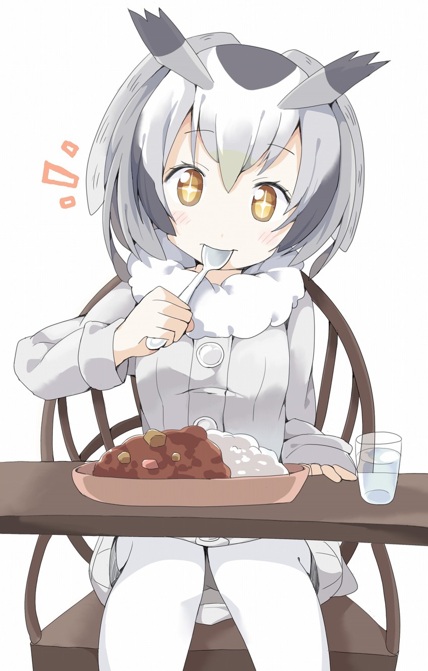 northern white-faced owl (kemono friends) drawn by tantan_men_(dragon)