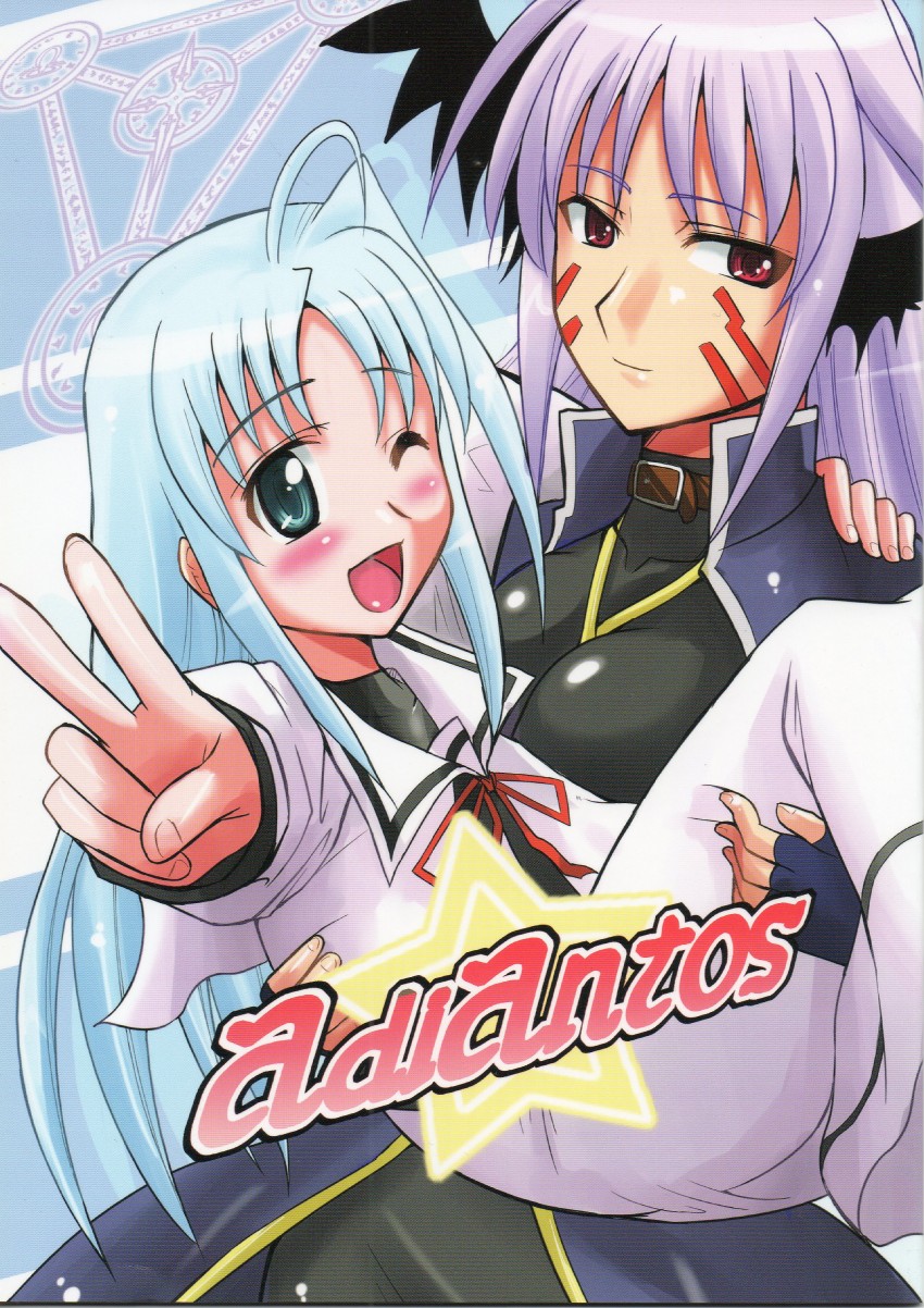 reinforce zwei and reinforce (lyrical nanoha and 3 more)