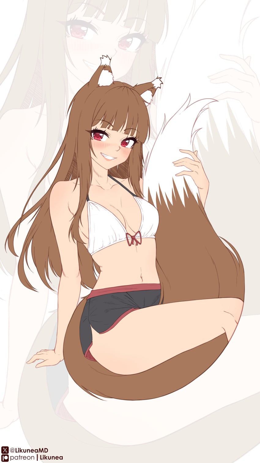 holo (spice and wolf) drawn by likunea