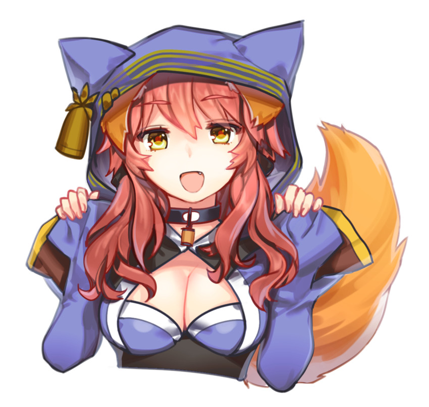 tamamo and tamamo no mae (fate and 2 more) drawn by yurizuka_(sergeant_heart)