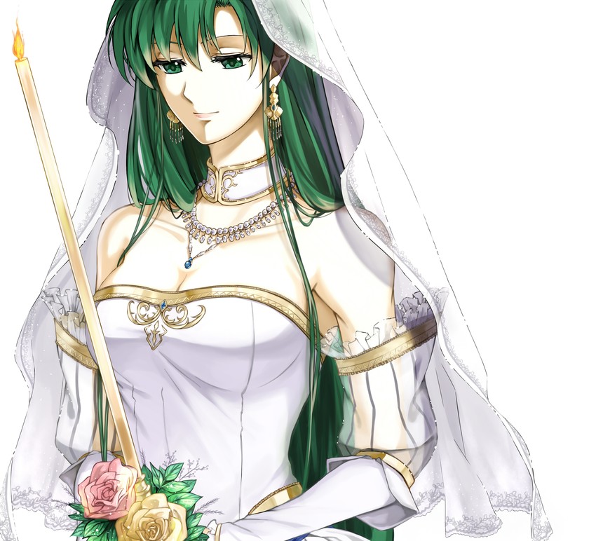 lyn (fire emblem and 2 more) drawn by delsaber