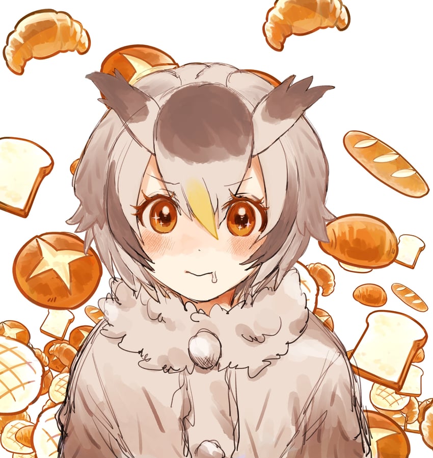 northern white-faced owl (kemono friends) drawn by 03sa40