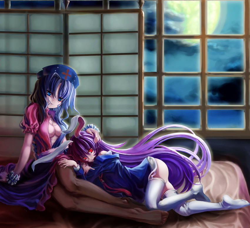 reisen udongein inaba and yagokoro eirin (touhou) drawn by st.microscope