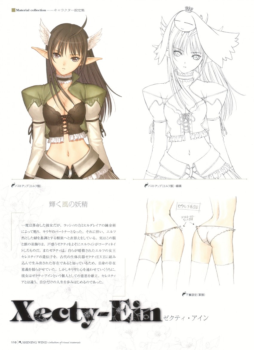 xecty ein and lassi (shining and 1 more) drawn by tony_taka