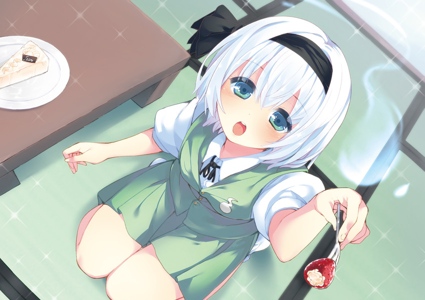 konpaku youmu (touhou) drawn by nigo_(aozoragarou)