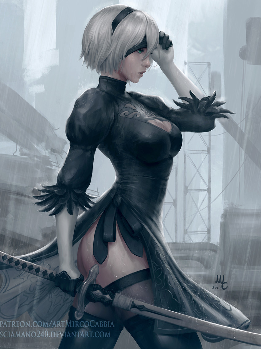 2b (nier and 1 more) drawn by sciamano240