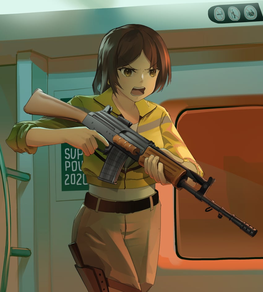 insas (original and 1 more) drawn by gewehrbroker