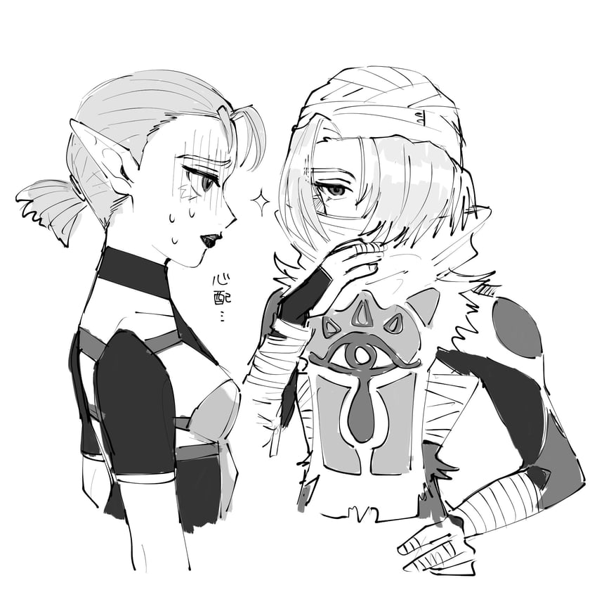 sheik and impa (the legend of zelda and 1 more) drawn by yamori_(yamoooon21)