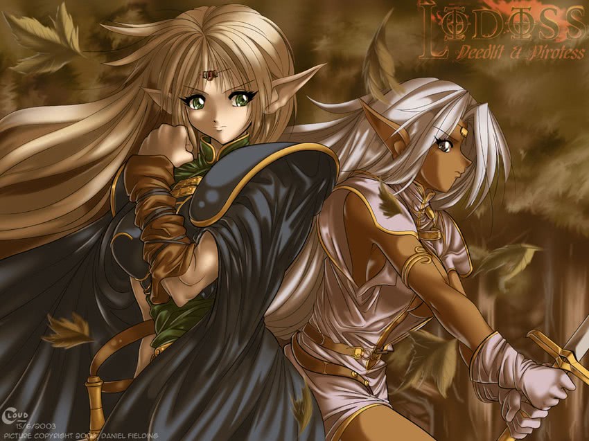 deedlit and pirotess (record of lodoss war) drawn by daniel_fielding