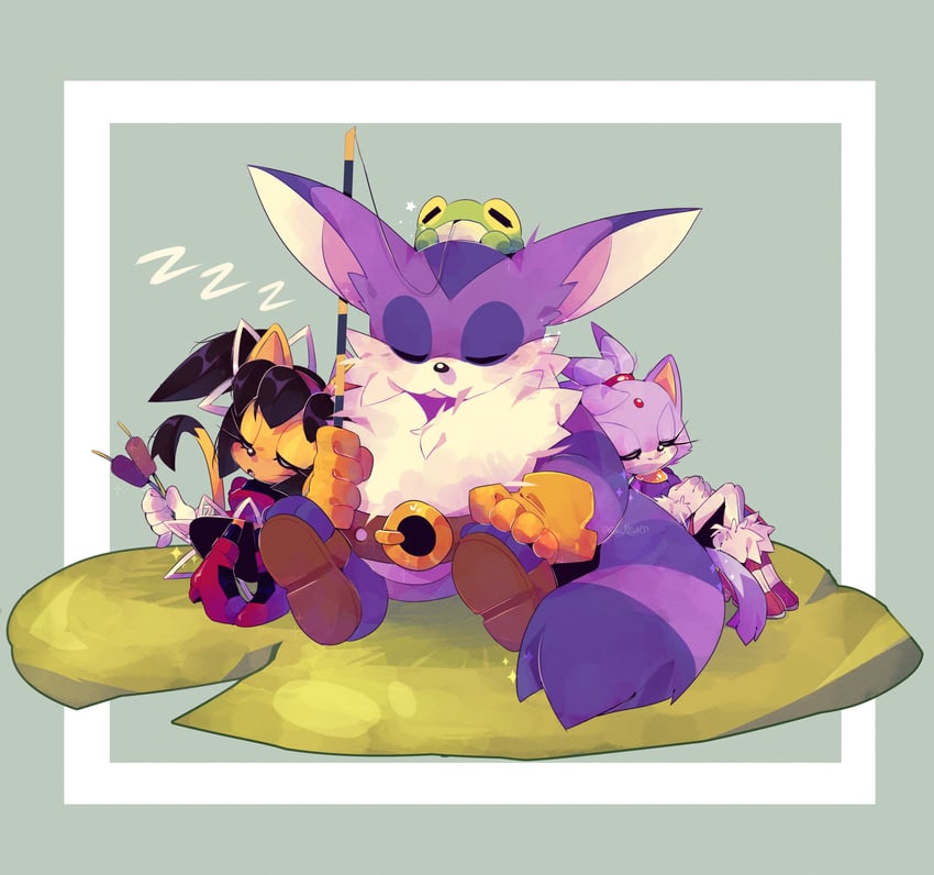 blaze the cat, big the cat, honey the cat, and froggy (sonic and 2 more) drawn by rosynightd