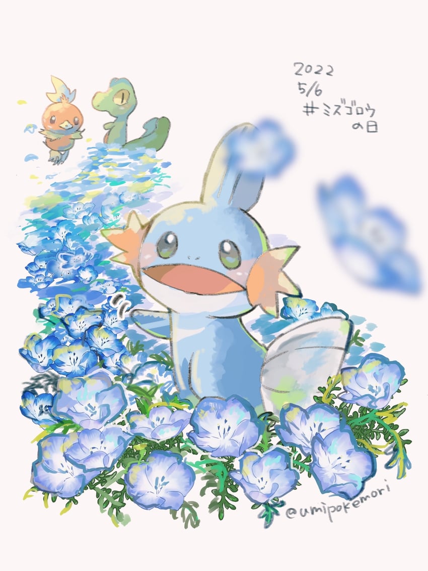 torchic, mudkip, and treecko (pokemon) drawn by umipokemori