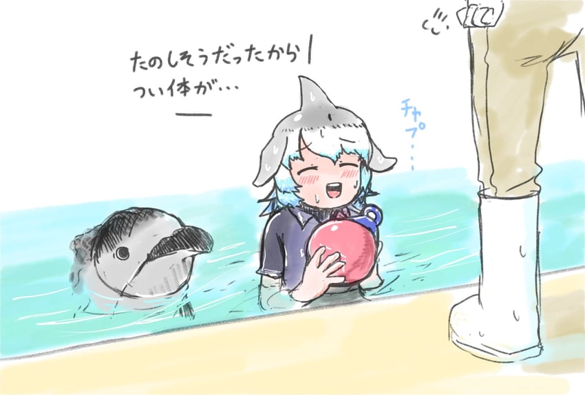 common bottlenose dolphin (original and 1 more) drawn by mujinamori_tamakichi