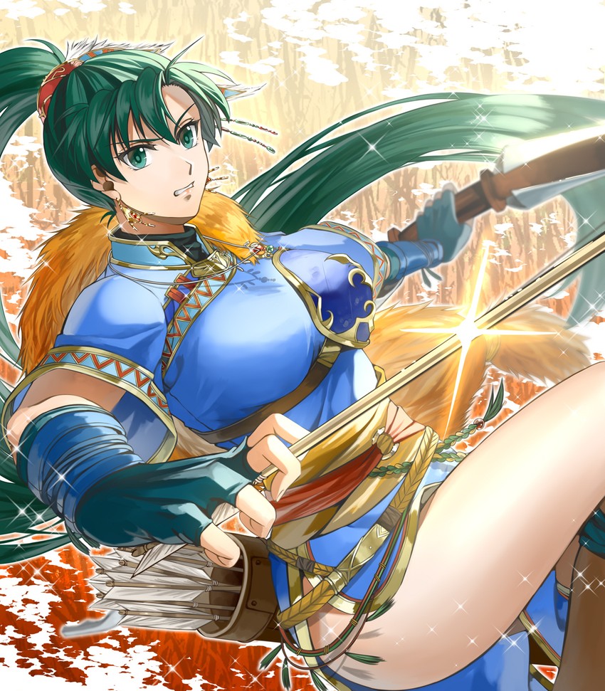 lyn (fire emblem and 2 more) drawn by delsaber