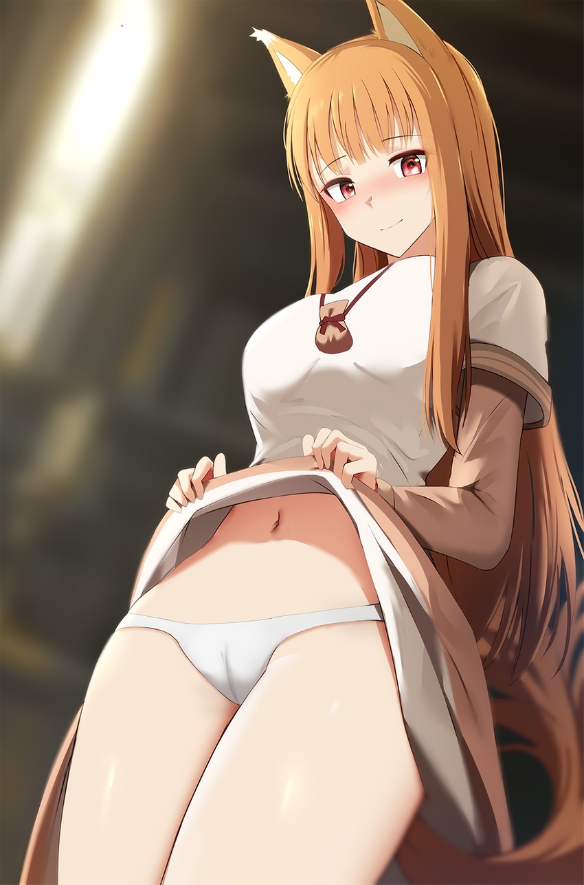 holo (spice and wolf) drawn by ginhaha