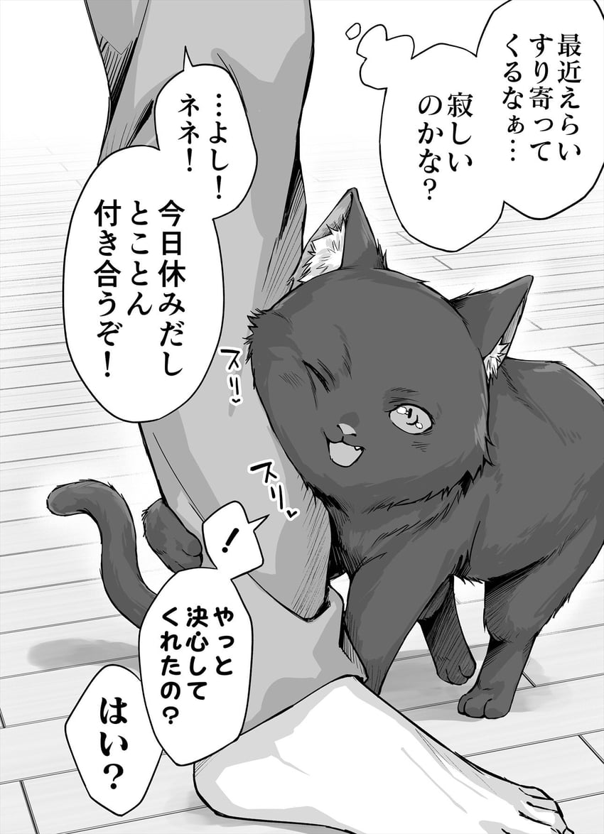 nene (dokusen yoku ga tsuyo sugiru yandere kai neko-chan) drawn by koyuki_(kotatsu358)