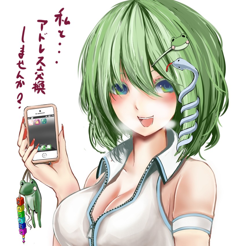 kochiya sanae and pyonta (touhou) drawn by jonasan_(bad-t)