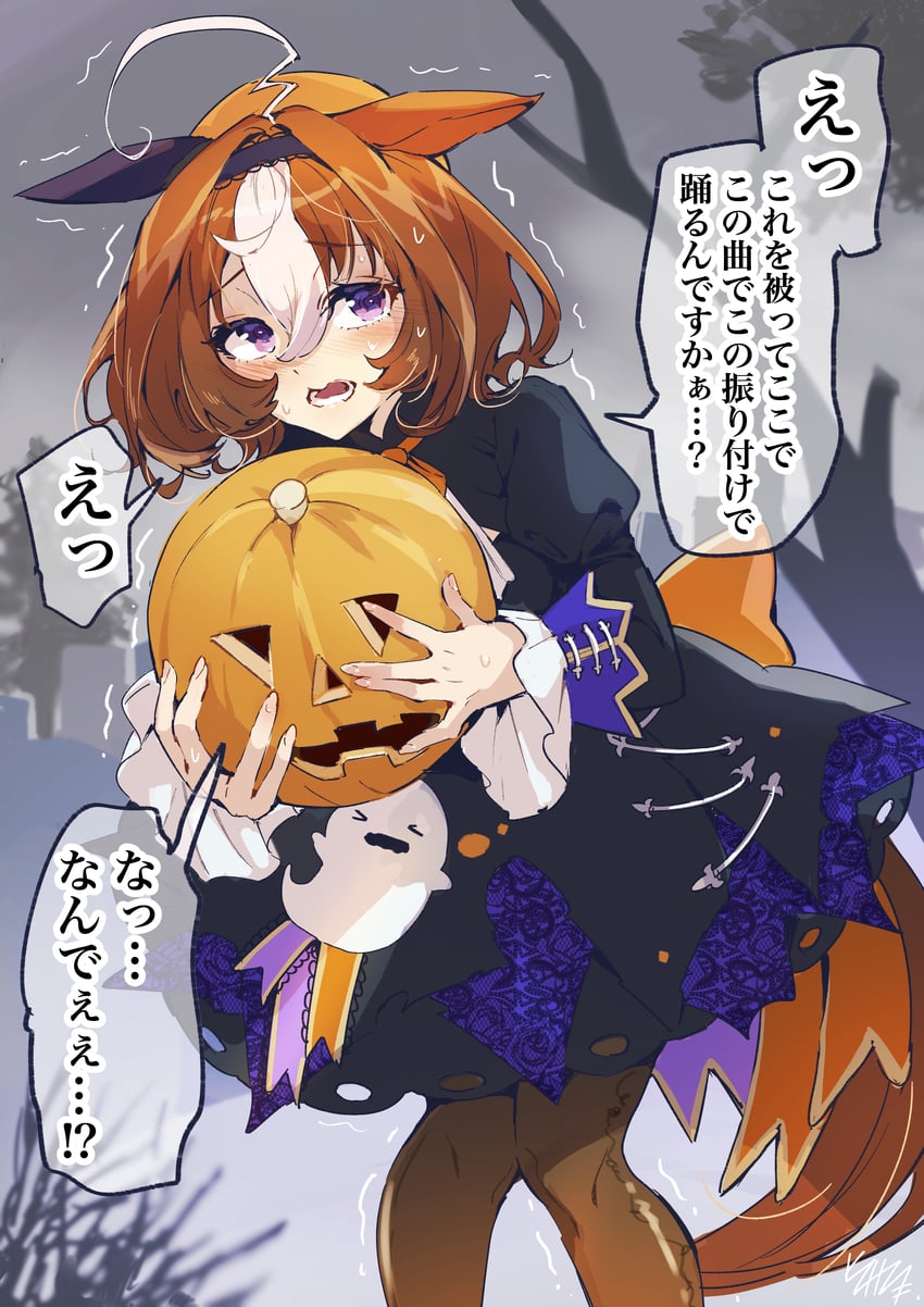 meisho doto (umamusume and 1 more) drawn by hinosaka_aki