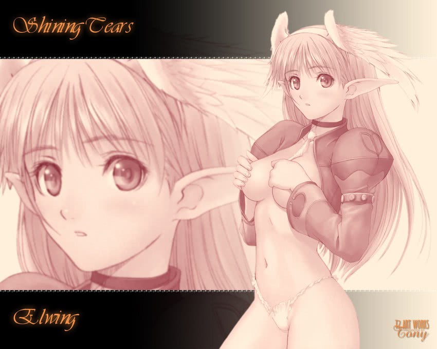 elwing ra-nah sylphith (shining and 1 more) drawn by tony_taka