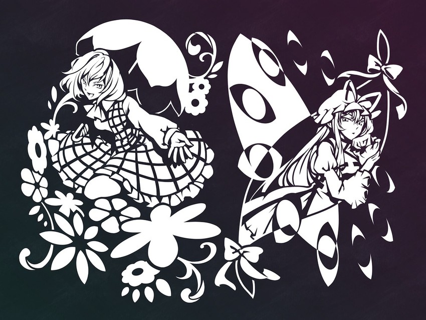 yakumo yukari and kazami yuuka (touhou) drawn by nakatani_nio